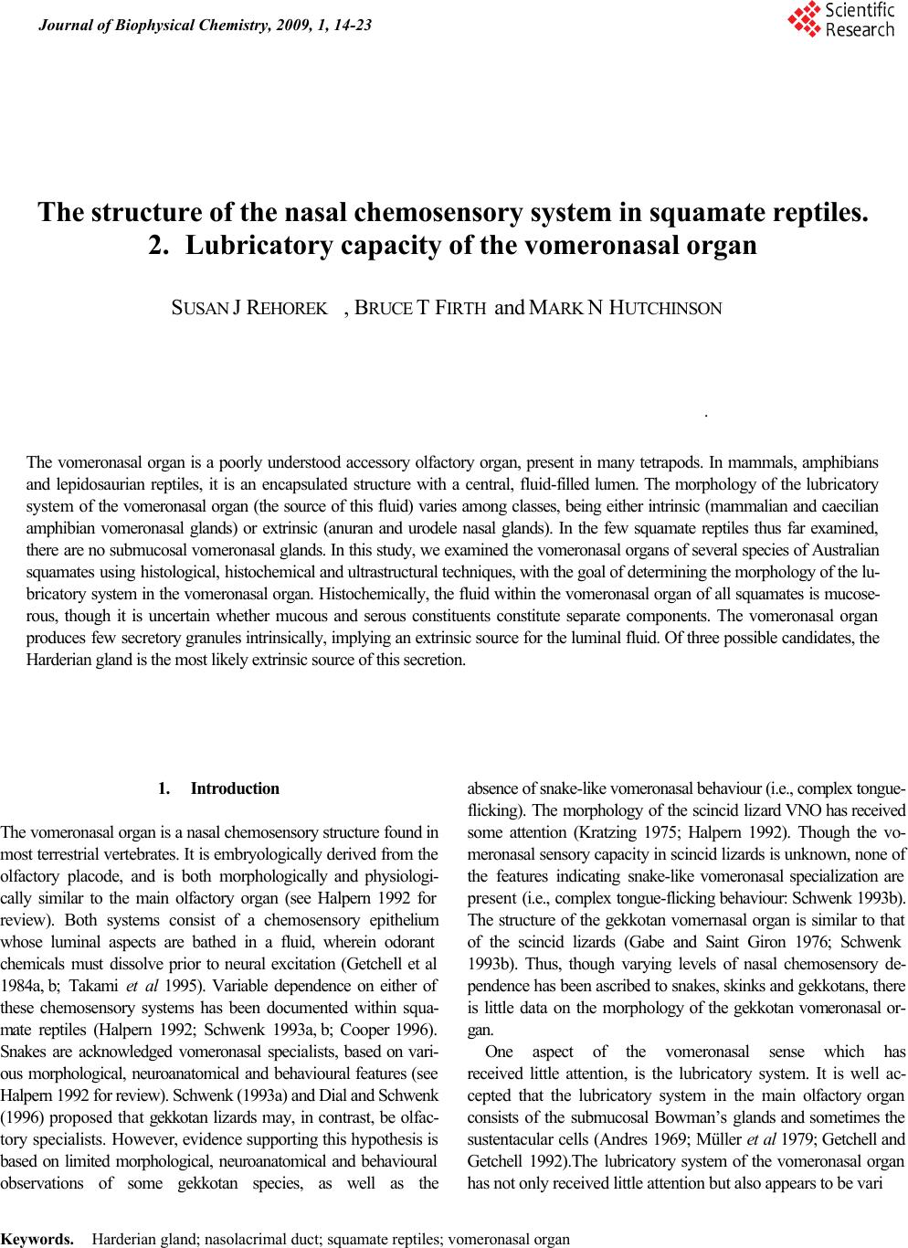 sixth sense the vomeronasal organ essay sixth sense the vomeronasal organ essay